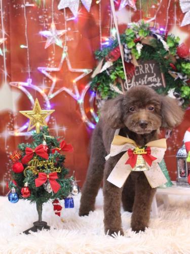 20231216杏ちゃん 